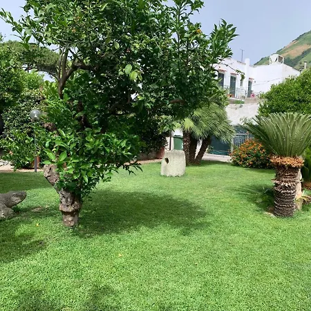 Garden Ischia Bilocale Super Apartment *
